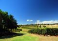 Swan Valley Tourist Park - MyDriveHoliday